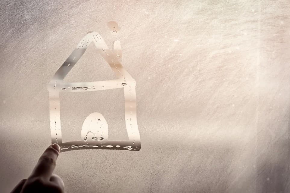 Mould testing image 4